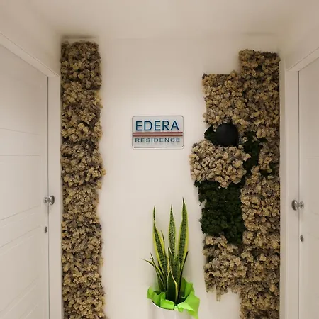 Edera 4*